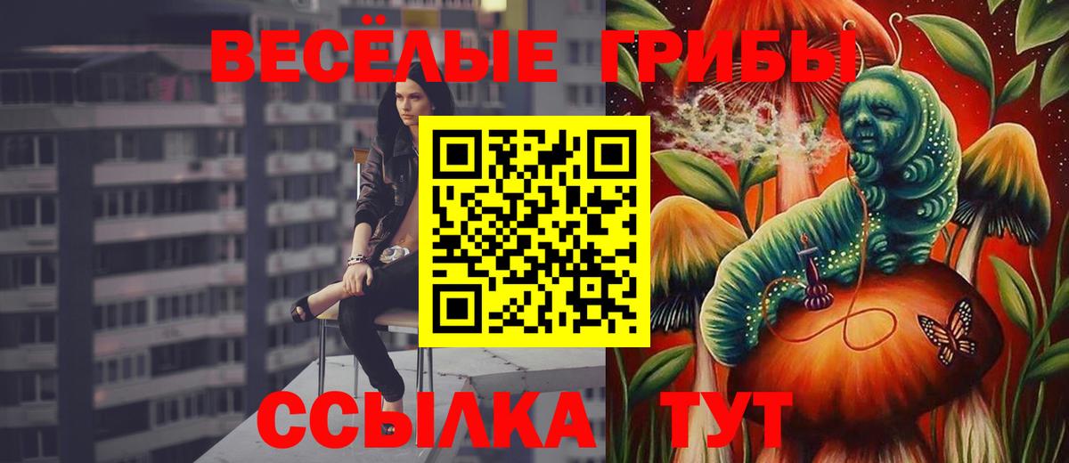 Галлюциногенные грибы Psilocybine cubensis Протвино