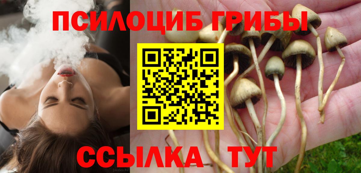 Галлюциногенные грибы GOLDEN TEACHER  Галлюциногенные грибы прущие грибы  Вход с VPN  Протвино 